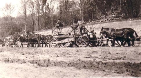 Lake Bracken Mules